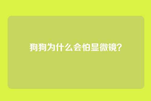 狗狗为什么会怕显微镜？