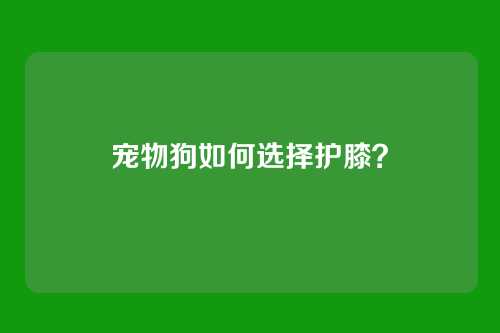 宠物狗如何选择护膝？