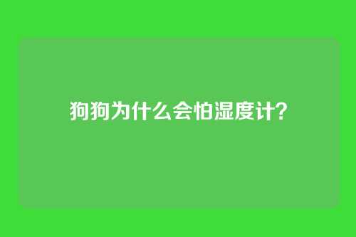 狗狗为什么会怕湿度计？