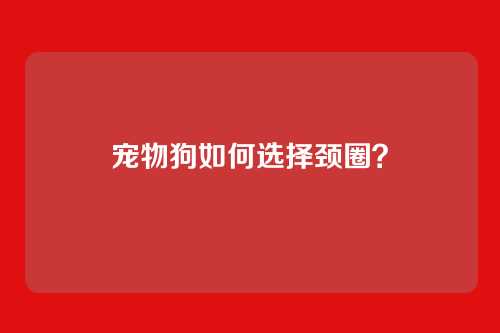 宠物狗如何选择颈圈?