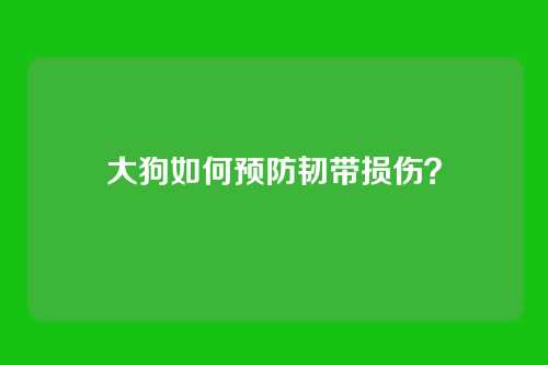 大狗如何预防韧带损伤？