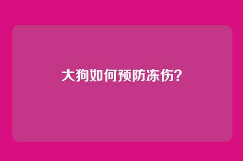 大狗如何预防冻伤？