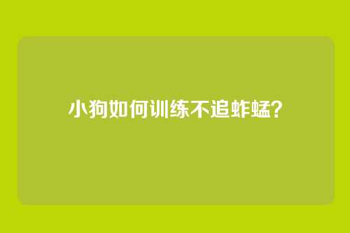 小狗如何训练不追蚱蜢？