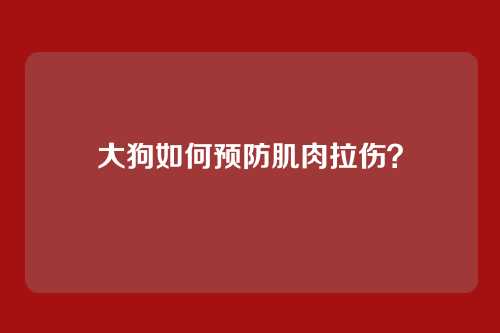 大狗如何预防肌肉拉伤？