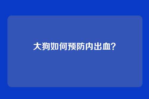 大狗如何预防内出血?