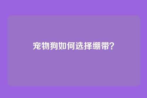 宠物狗如何选择绷带？