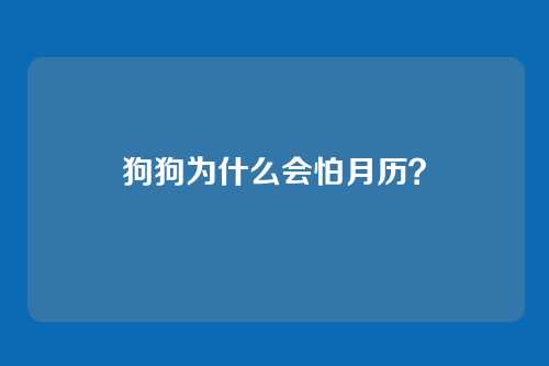 狗狗为什么会怕月历？