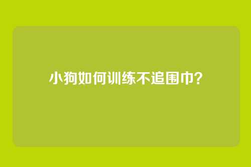 小狗如何训练不追围巾？