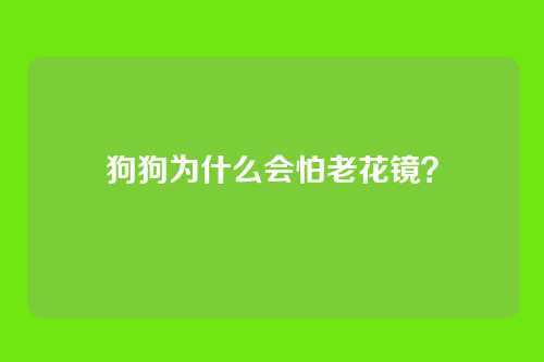 狗狗为什么会怕老花镜？