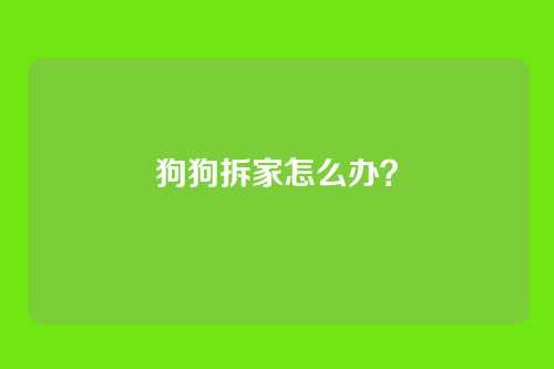 狗狗拆家怎么办？