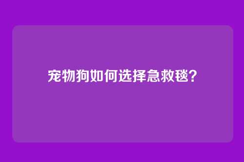 宠物狗如何选择急救毯？