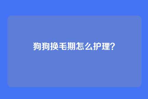 狗狗换毛期怎么护理？