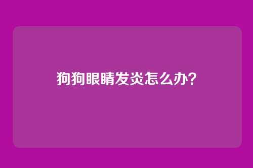 狗狗眼睛发炎怎么办？