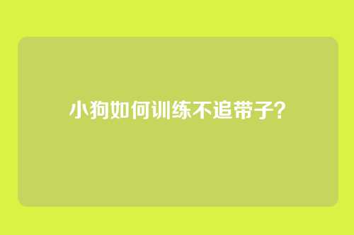 小狗如何训练不追带子？