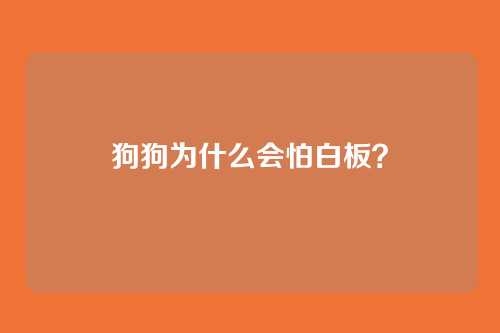狗狗为什么会怕白板？