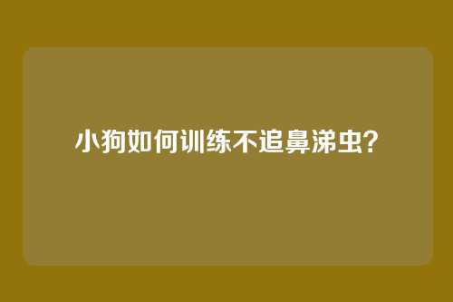 小狗如何训练不追鼻涕虫？