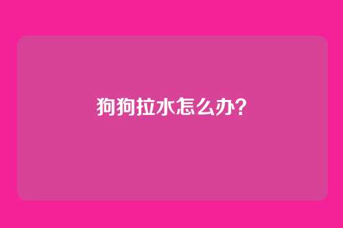 狗狗拉水怎么办？