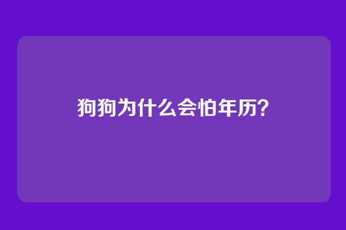 狗狗为什么会怕年历？
