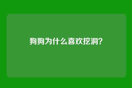 狗狗为什么喜欢挖洞？