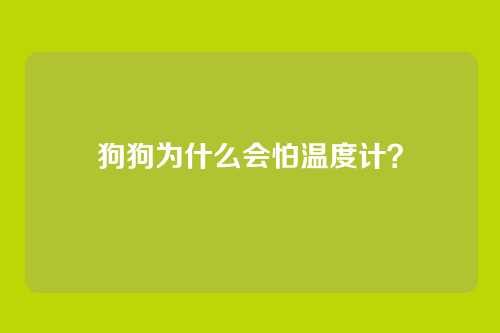 狗狗为什么会怕温度计？