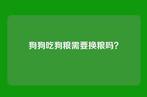狗狗吃狗粮需要换粮吗?