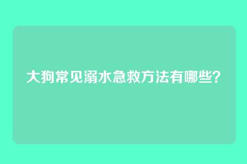 大狗常见溺水急救方法有哪些？