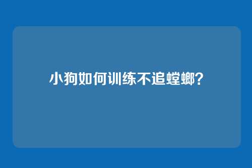 小狗如何训练不追螳螂？