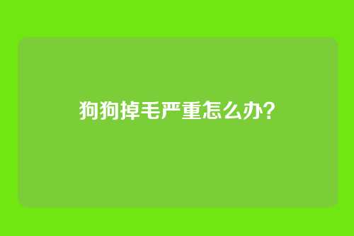 狗狗掉毛严重怎么办？
