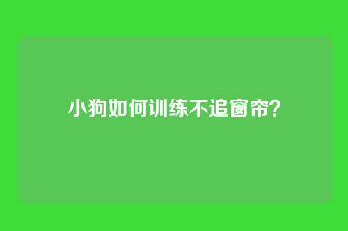 小狗如何训练不追窗帘？