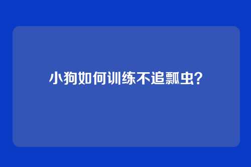 小狗如何训练不追瓢虫？