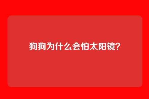 狗狗为什么会怕太阳镜?