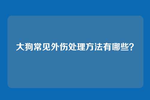 大狗常见外伤处理方法有哪些？