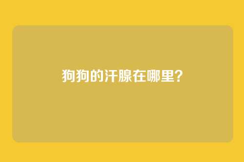 狗狗的汗腺在哪里？