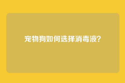 宠物狗如何选择消毒液？