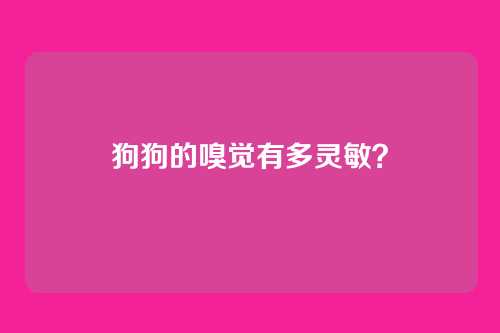 狗狗的嗅觉有多灵敏？