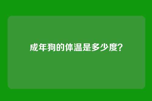 成年狗的体温是多少度？