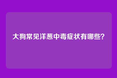大狗常见洋葱中毒症状有哪些？