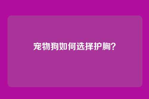 宠物狗如何选择护胸？