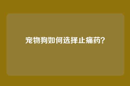 宠物狗如何选择止痛药？