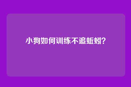小狗如何训练不追蚯蚓？