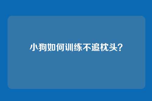 小狗如何训练不追枕头？