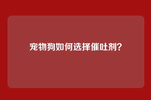 宠物狗如何选择催吐剂？