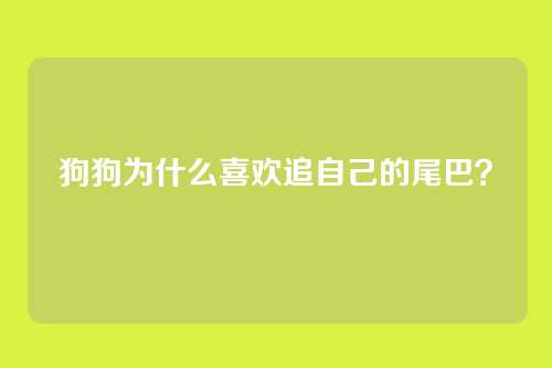 狗狗为什么喜欢追自己的尾巴?