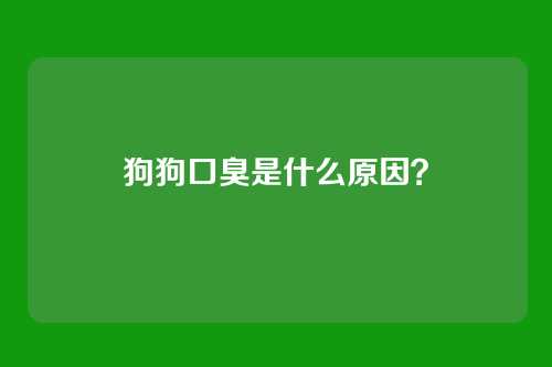 狗狗口臭是什么原因？