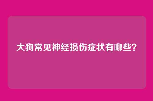 大狗常见神经损伤症状有哪些?