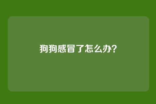 狗狗感冒了怎么办？