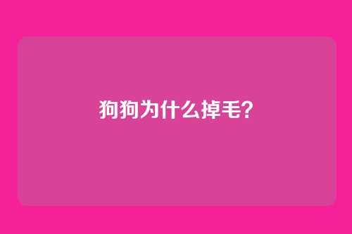 狗狗为什么掉毛？