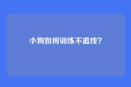 小狗如何训练不追线？