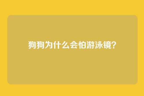 狗狗为什么会怕游泳镜?