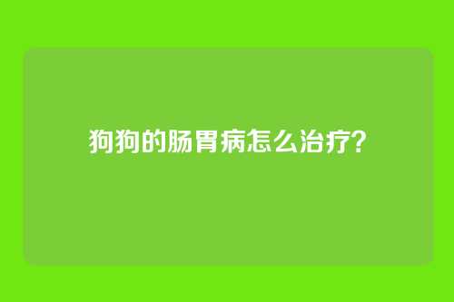 狗狗的肠胃病怎么治疗？